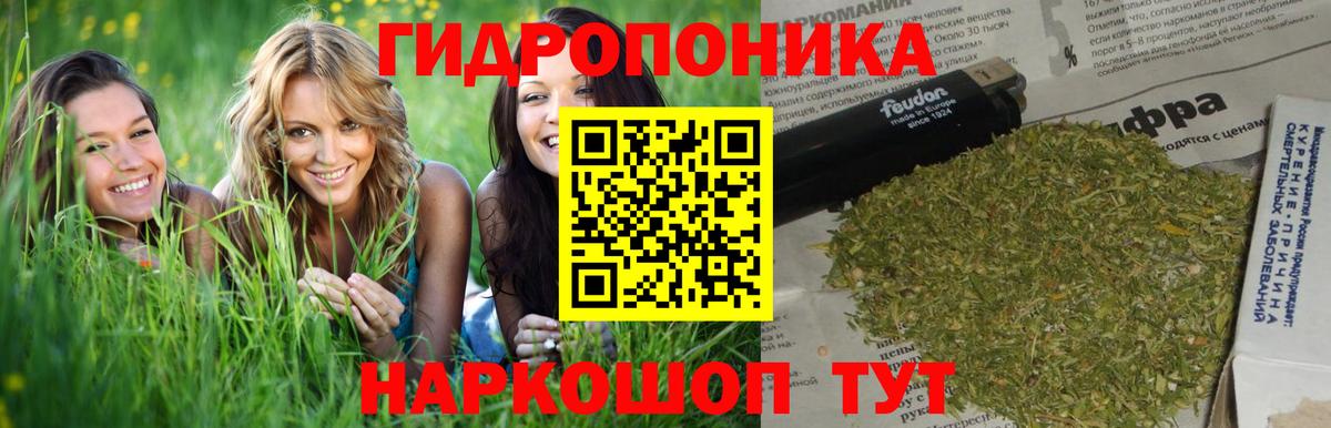 Каннабис планчик Стрежевой